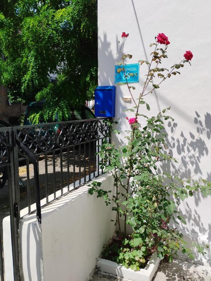 沃洛斯Η Ελπίδα Και Η Γιάννα Ξεκίνησαν Ένα Χώρο Cute公寓 外观 照片