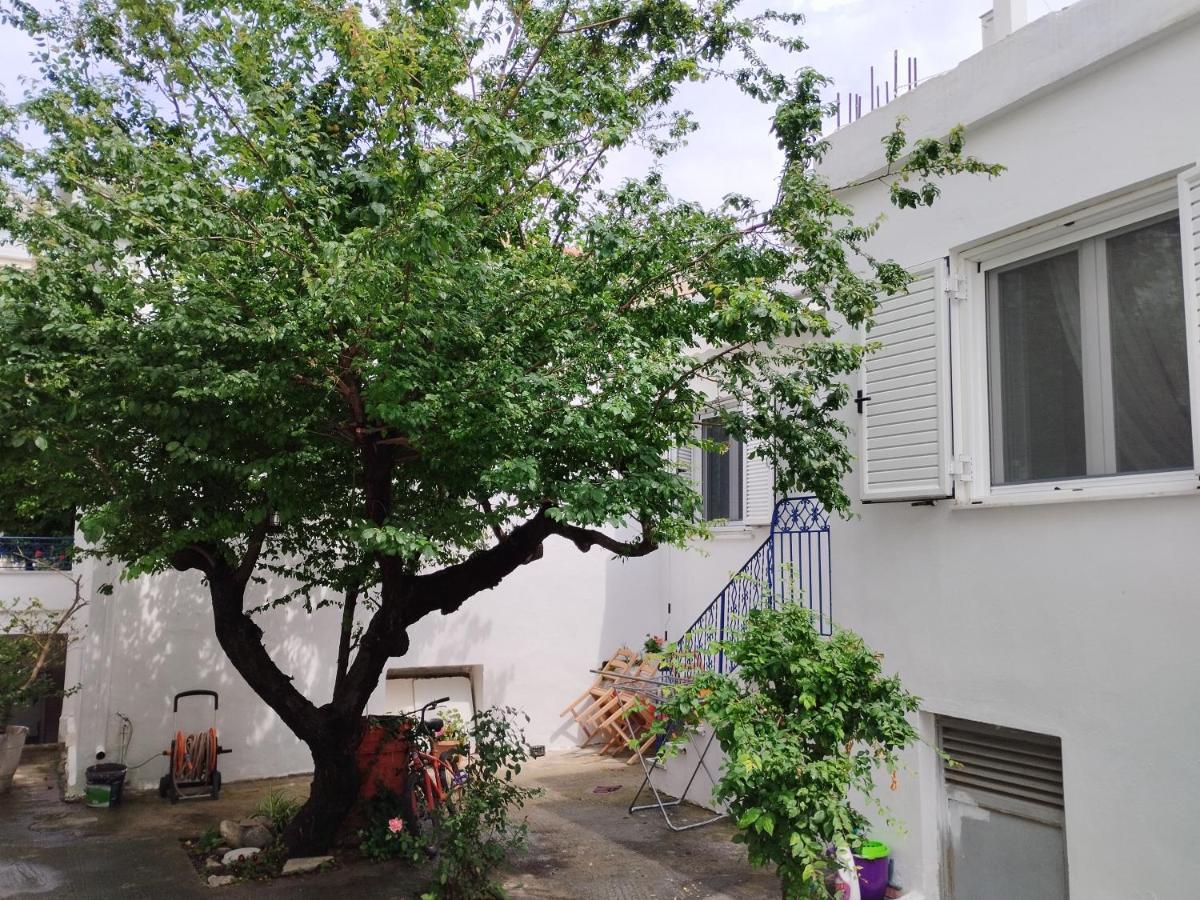 沃洛斯Η Ελπίδα Και Η Γιάννα Ξεκίνησαν Ένα Χώρο Cute公寓 外观 照片